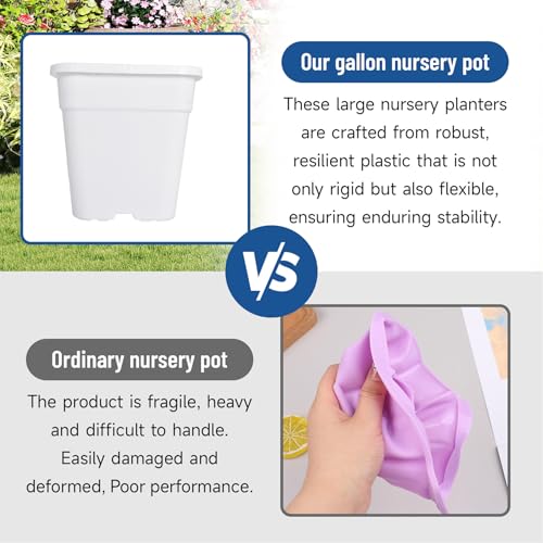 WFLNHB 1 Gallon 10 Pcs Square Plastic Plant Pots Flexible Nursery Pot Planter Nursery Pots Suitable for Flower Vegetables Succulents White - color: White, size: 1 Gallon-10 Pcs