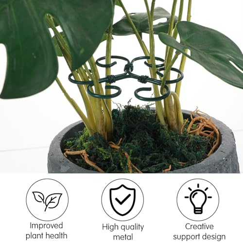 Tyqour 4PCS Plant Stem Support Monstera Support Durable Plant Supports