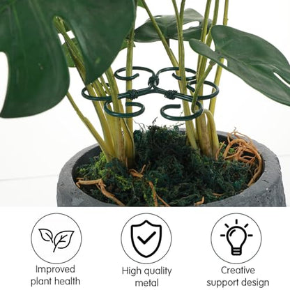 Tyqour 4PCS Plant Stem Support Monstera Support Durable Plant Supports