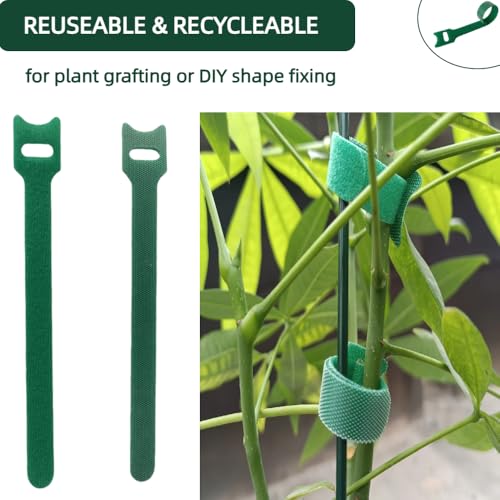 100Pcs 6-Inch Green Reusable Adjustable Plant Ties & Garden Tape - size: 6 in x 0.5 in