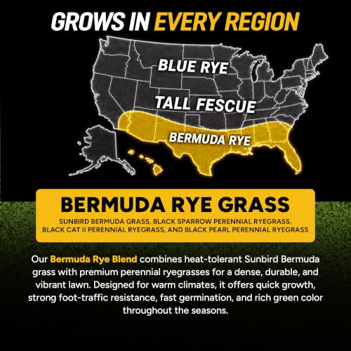 Growtrax Biodegradable Grass Seed Mat - 200 Sq Ft Bermuda & Rye Blend