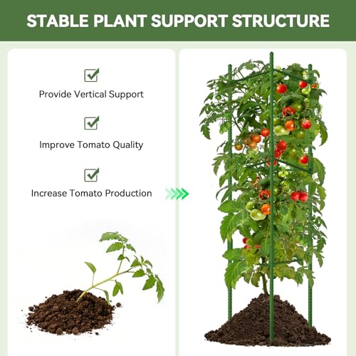 Halatool 2 Pack Tomato Cages for Garden, Up to 63 inch(5.2FT) - color: 2 Pack, size: 63 Inches