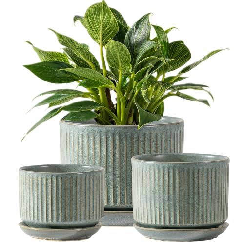 SURE YUESI Ceramic Plant Pots Set of 3, Indoor Outdoor Planters with Drainage Hole and Saucer, Ceramic Flower Pots for Indoor Plants, 4.3+5.5+6.8 Inch, Home, Garden, Patio and Office, Matte Green - color: Matt Green