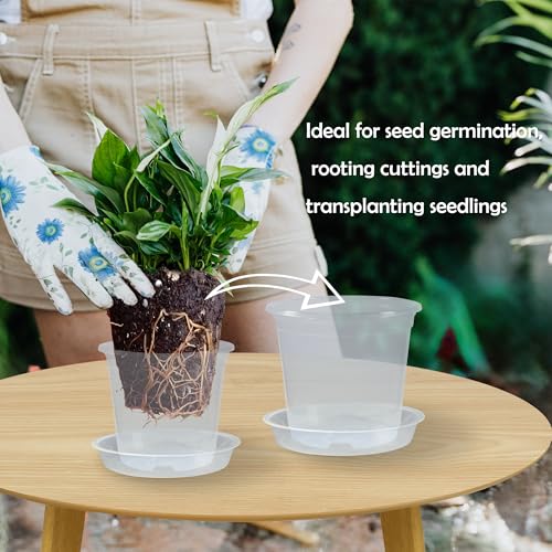20 Pack 6 Inch Clear Nursery Pots with Drainage and 20 Pack Plant Saucers, 0.5 Gallon Plant Pots for Plants Potting Containers Half Gallon Plants Seeding Starter Pot (Clear, 6 Inch) - color: Clear, size: 6 Inch