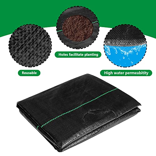 codree 26 x 6.5 Ft Garden Weed Barrier Landscape Fabric with Planting Holes- Heavy-Duty Garden Weed Control Barrier- Weed Block Gardening Mat with 10 Ground Nail for Outdoor Garden - color: 6.5x26ft