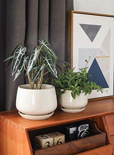 LE TAUCI Plant Pots, 4.1+5.1+6.5 inch, Set of 3, Reactive Glaze Beige - color: Reactive Glaze Beige