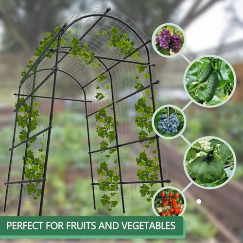 Metal Garden Arch Trellis, 7.6Ft Black for Raised Beds, Plant Support for Cucumbers & Climbing Vegetables with 9 Horizontal Pipe - size: 7.6x6x3.8 Ft - 9