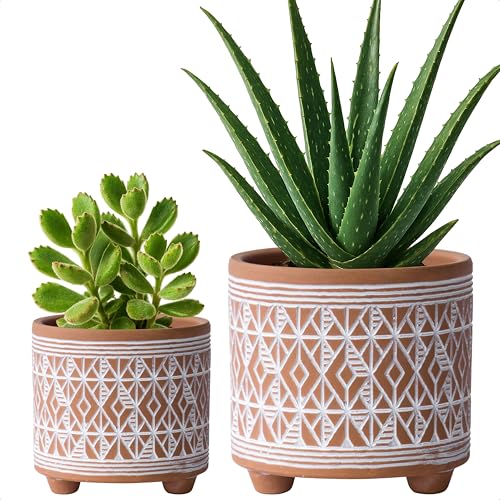 D'vine Dev 2-Pack Terracotta Pots, 4/6 in, Savanna Weave, 31-953-G-1 - style: Savanna Weave