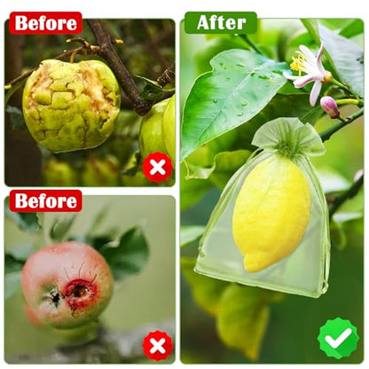 50 PCS 4X6 inches Fruit Protection Bags, Fruit Bags for Fruit Trees - size: 4X6