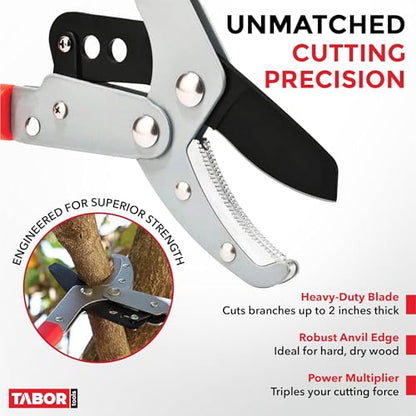 TABOR TOOLS GG22A Extendable Anvil Lopper with Compound Action, 27-40 Inch Telescopic Tree Trimmer & Branch Cutter, Long Reach Tree Pruner with 1 3/4 Inch Cut Capacity, Chops Thick Dry Branches w Ease - style: GG22A 27"-40" Extendable Anvil Lopper with le