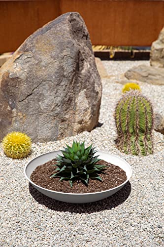 Veradek Mason Series Lane Bowl - Large Outdoor Bowl Planter - color: White, size: 6"H x 24"DIA