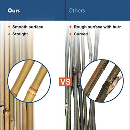 COLOtime Bamboo Stakes 6FT Garden Stakes Plant Poles for Outdoor 20 Pack - size: 6ft, 20 Pack