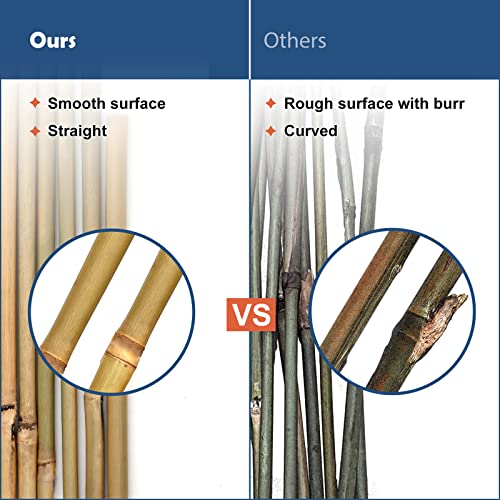 COLOtime Bamboo Stakes 2FT Garden Plant Stakes for Indoor Plants 30 Pack - size: 2ft, 30 Pack