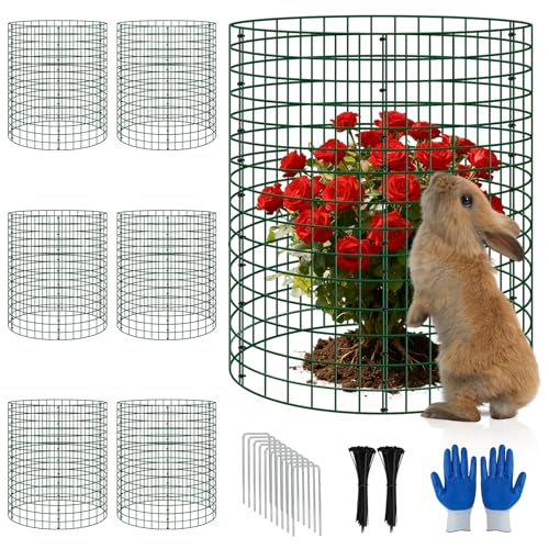 6 Pack 12x16 Inch Plant Protector Cages, Metal Garden Cages for Animals - color: 6 Pack, size: 12x16 IN
