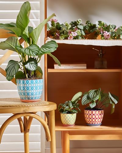 Metahom 4.9 Inch Ceramic Pots for Plants, Colorful Flower Pots Set of 4 - size: 4.9 inch
