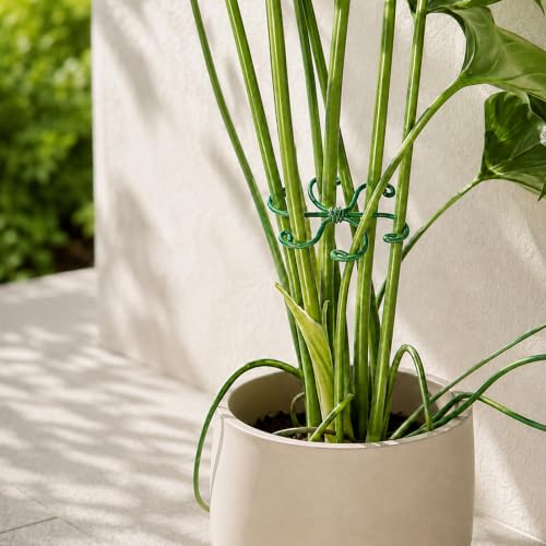 Yohsnor 5PCS 2.75IN Monstera Plant Stem Support-Ideal for Indoor Plants - color: Green, size: 2.75IN*2.75IN