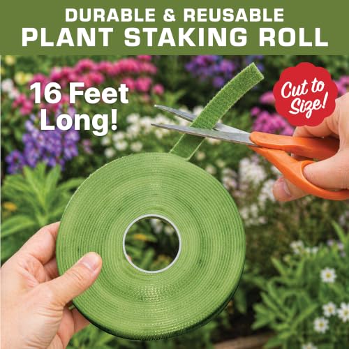 Plant Tie Roll 1/2" x 16' - Plant Support Roll, Garden Plant Tie, Reusable Hook and Loop Plant Tape for Stakes, Trellises, Tomato Cages & Young Trees, Cut to Size, Green