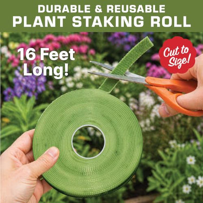 Plant Tie Roll 1/2" x 16' - Plant Support Roll, Garden Plant Tie, Reusable Hook and Loop Plant Tape for Stakes, Trellises, Tomato Cages & Young Trees, Cut to Size, Green