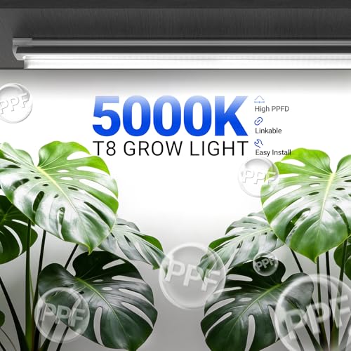 Barrina T8 Grow Lights for Indoor Plants, 3FT 5000K Full Spectrum, 6 Packs - size: 3FT
