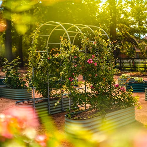 Vego Garden Modular Arched 2.0' Long Trellis System for 2.0‘ x 4.0' or 4.0' x 8.0' or 2.5' x 9.5' Garden Bed for Climbing Plants Like Cucumber Beans Tomatoes & Vines (Garden Beds Not Included) - size: 2.0 Ft Long