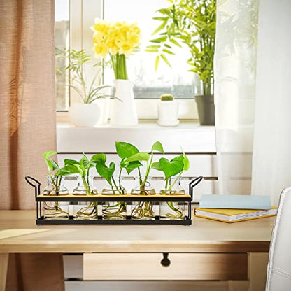 Plant Propagation Station with 5 Glass Jars, Retro Hydroponic Planter Vase - color: Black – 5 Tray