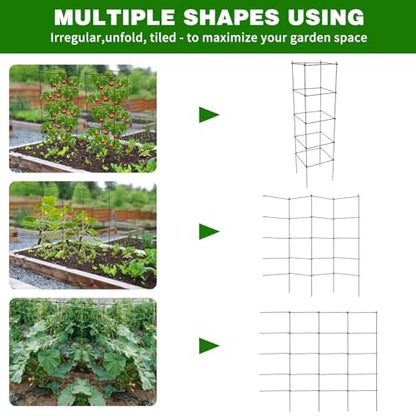 6 Packs Tomato Cages for Garden, 12"×12"×48" Plant Support Cage with Different Spacing, Green Metal Trellis for Climbing Plants Like Cucumber, Flowers - size: 12"×12"×48“ 6 Packs