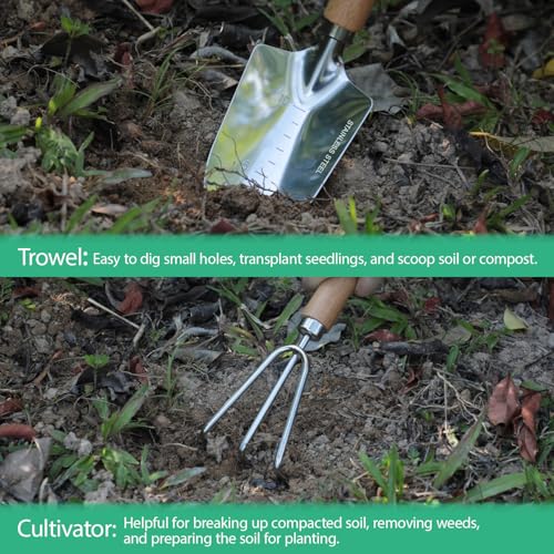 LeMotech Garden Tool Set, 2Pcs Gardening Hand Tools, Stainless Steel Trowel and Cultivator with Handle, Outdoor Gardening Kit for Women Men - style: 2PC(Trowel&Cultivator)