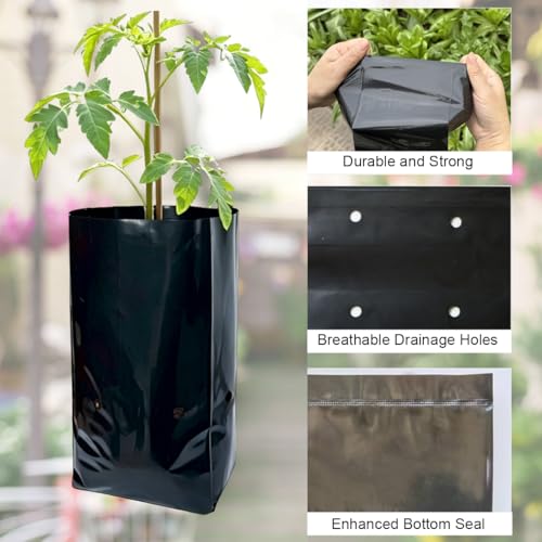 gardtree 1/2 Gallon 100 Pcs Thicken Seedling Nursery Bags, 4.7" x 7.8" Deep Plastic Grow Bags with Drainage Holes, Heavy Duty Plant Starter Pots for Vegetables, Flowers, Succulents and Cuttings - size: 4.7"x7.8"/100PCS