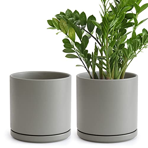 D'vine Dev 2-Pack Ceramic Pots with Saucers, Grey, 8 in, 94-V-D-3 - color: Gray, size: 8 Inch
