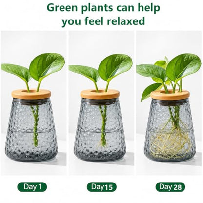 Desktop Plant Hydroponic Vases, Water Plant Jars, Gardening Gifts for Office and Home, Outdoor, Gray Ripple Pattern - color: Gray Ripple Pattern