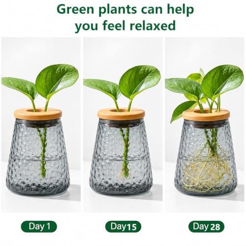Desktop Plant Hydroponic Vases, Water Plant Jars, Gardening Gifts for Office and Home, Outdoor, Gray Ripple Pattern - color: Gray Ripple Pattern