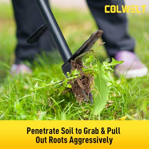 Colwelt Weed Remover Tool 39’’, Weed Puller Root Remover with Thick Steel Claw, Long Handled Weeding Tool with Easy Foot Ejector, Stand Up Garden Weeder Tool for Lawn Grass Dandelion Removal