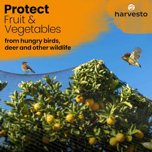 Harvesto Heavy Duty Bird Netting for Chicken Coops & Runs | Tree & Garden Netting Mesh 1-1/2" | Keep Hawks, Birds & Predators Away | Bird Netting for Blueberry Bushes, Vegetables & Fruit (50' x 150') - size: 50 x 150 ft