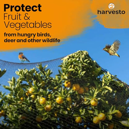Harvesto Heavy Duty Bird Netting for Chicken Coops & Runs | Tree & Garden Netting Mesh 1-1/2" | Keep Hawks, Birds & Predators Away | Bird Netting for Blueberry Bushes, Vegetables & Fruit (25' x 50’) - size: 25' x 50' - 1.5"