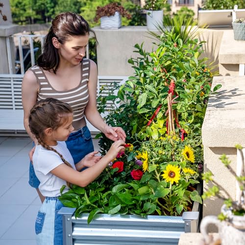 Land Guard 2 Pack Galvanized Raised Garden Bed with Legs, 48×24×32in Large Metal Elevated Raised Planter Box with Drainage Holes for Backyard, Patio, Balcony, 700lb Capacity - color: Silver