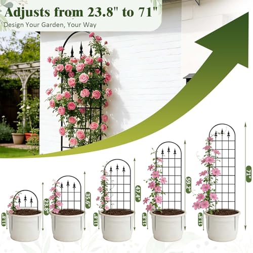 2 Pack 47" H x17 W Garden Trellis for Climbing Plants Outdoor - Metal Rustproof Arched Rose Trellis for Outdoor Indoor Roses Potted Vines Cucumbers Clematis Flowers Decorative, Black