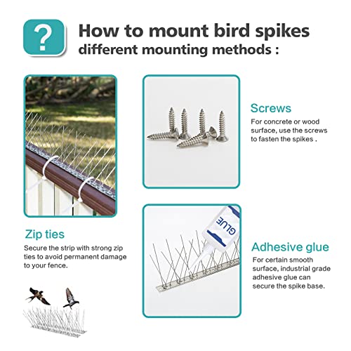 KKY Bird Spikes Stainless Steel Base, Metal Bird Repellent Nail Fence Kit, Can Be Used to Stop Pigeons and Other Small Birds, Covering 43.2 Feet 40 Packs. - size: 43.2 Feet