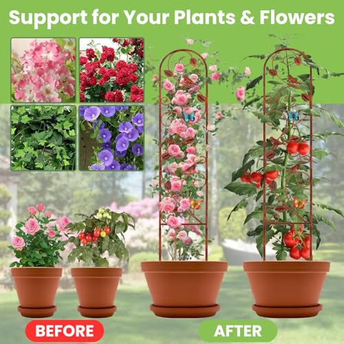 Lancisism 2 Pack 100% Metal Garden Trellis for Climbing Plants Outdoor - Heavy Duty Rustic Iron Arch Fence Trellis Rustproof Plant Support Trellis for Vines, Flowers, Vegetables & Wall Brackets