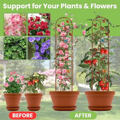 Lancisism 2 Pack 100% Metal Garden Trellis for Climbing Plants Outdoor - Heavy Duty Rustic Iron Arch Fence Trellis Rustproof Plant Support Trellis for Vines, Flowers, Vegetables & Wall Brackets