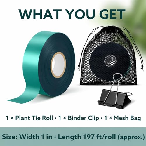 Plant Tie Tape, 1 in x 197 ft Stretchable Green Garden Tape for Plants, Soft Non-Adhesive PVC Plant Ties for Tomatoes, Grapes, Vines, Trees, Branches & Climbing Plants - size: 197 ft