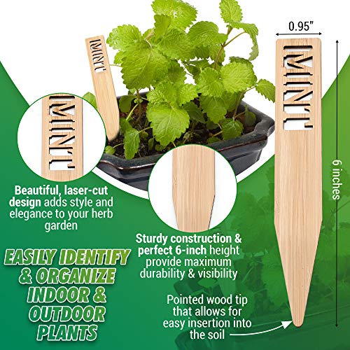 Bamboo Herb Markers - Set of 12 Beautiful Garden Labels - Sturdy Outdoor Garden or Potted Herb Markers