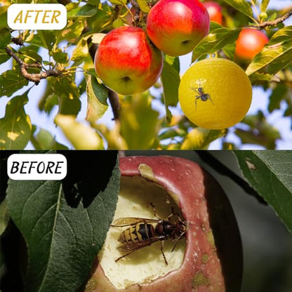 Qualirey 20 Pcs Sticky Fruit Fly Trap Ball Adhesive Fly Catching Ball Sticky Glue Fly Gnat Wasp Hornet Mosquito Bugs Flying Insects Trap Ball Traps (Green, Yellow) - color: Green, Yellow, size: Flat Top
