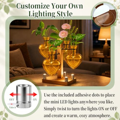 Plant Terrarium Propagation Station with 4 Heart Glass Vases - Amber - color: Amber