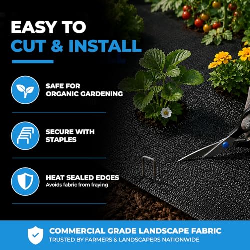 Sandbaggy 6 ft x 300 ft Landscape Fabric, 72 Inch Wide Heavy Duty Weed Barrier Fabric, Woven Polypropylene Ground Cover for Garden Beds, Rows, Pathways, Mulch and Gravel (2 Rolls - 6 ft x 300 ft) - size: 2 Rolls - 6 ft x 300 ft