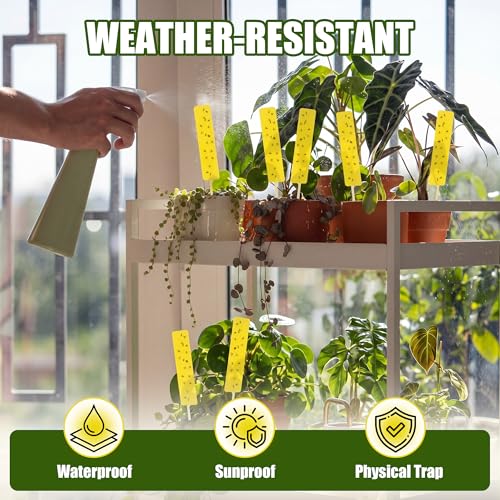 36 PCS Yellow Sticky Traps for Plant Gnats, Fungus Gnat Trap (4" x 1") - color: Yellow