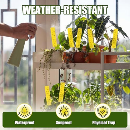 36 PCS Yellow Sticky Traps for Plant Gnats, Fungus Gnat Trap (4" x 1") - color: Yellow