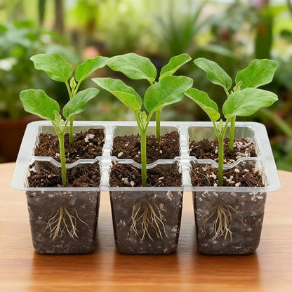 Bonviee 10-Pack Seed Starter Trays, 6-Cell Insert Trays, Clear - color: Clear, size: 10 Packs (60 XL Cells)