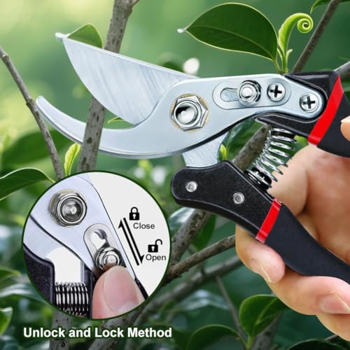 Gardening shears for pruning garden shrubs and harvesting flowers fruit - style: Classic Garden Shears