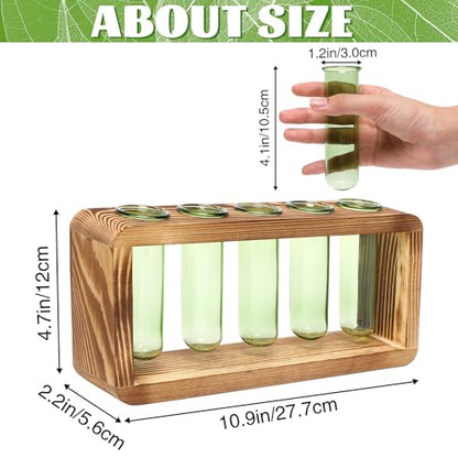 Glass Plant Propagation Station with 5 Test Tubes Colorful Planter Vase - color: Green