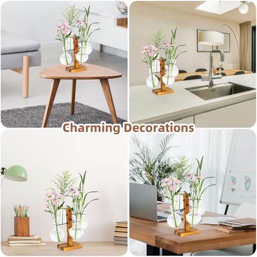 Plant Propagation Station with Acacia Wood Stand and 4 Glass Vases - size: Small
